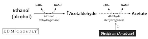 How does disulfiram (Antabuse) interact with alcohol (ethanol) to cause patients to get so sick?