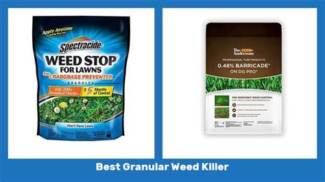 Best Granular Weed Killer - Expert Recommendation - The Sweet Picks