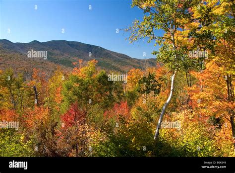 Scenic view of fall foliage in the Franconia Notch State Park New Hampshire USA Stock Photo - Alamy