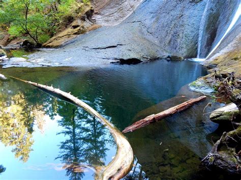 Wolf Creek Falls Trail Running Trail, Glide, Oregon