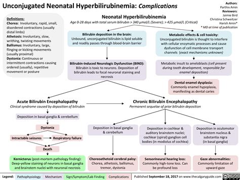 What Is The Icd 10 Code For Hyperbilirubinemia