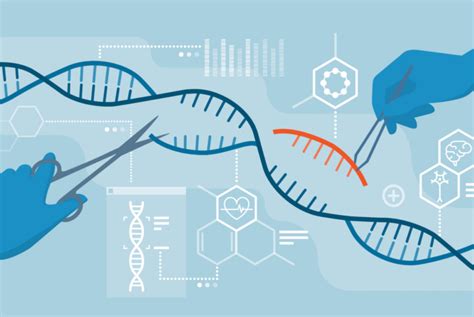 CRISPR: The Future of Gene Editing - BioMed Edge