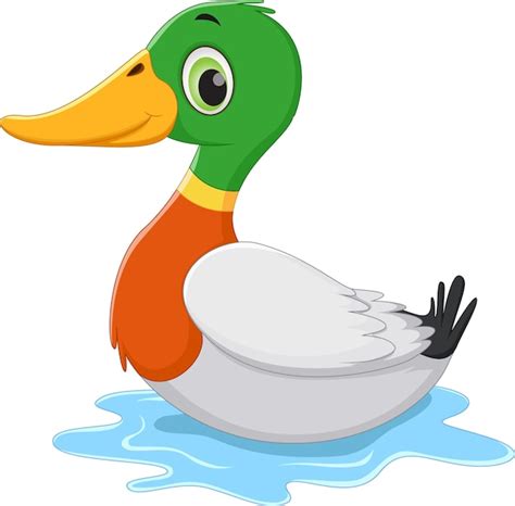 Drôle Cartoon Canard Natation | Vecteur Premium