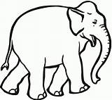Indian Elephant Coloring Sheets Pages sketch template