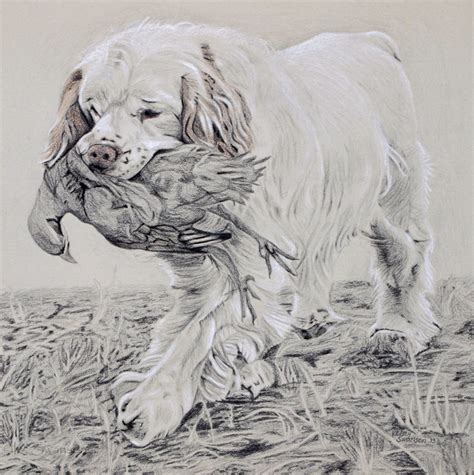 Clumber Spaniel Hunting Print - Etsy