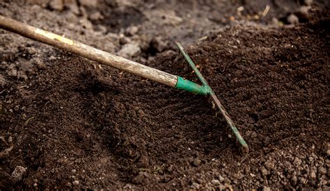 7 Easy Ways to Fertilize Your Soil - RedTea News