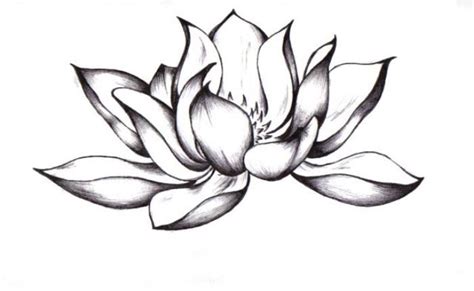 lotus tattoo black and white - Sök på Google Black Lotus Tattoo, Lotus ...