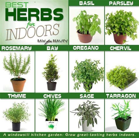 Indoor herb growing chart Container Herb Garden, Herb Planters, Indoor Herb Garden, Veggie ...