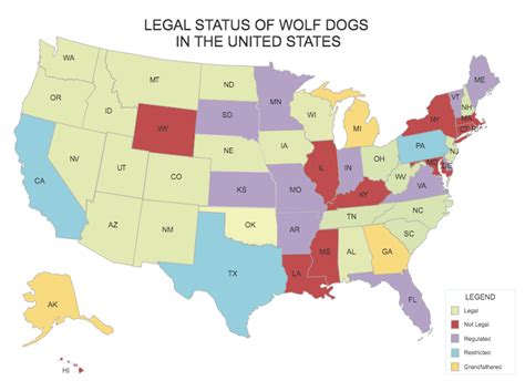 Where Is It Legal To Own A Wolf Dog