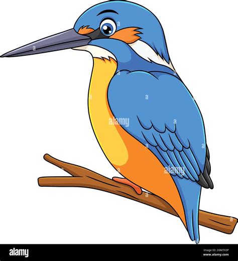 King fisher bird with fish Stock Vector Images - Alamy