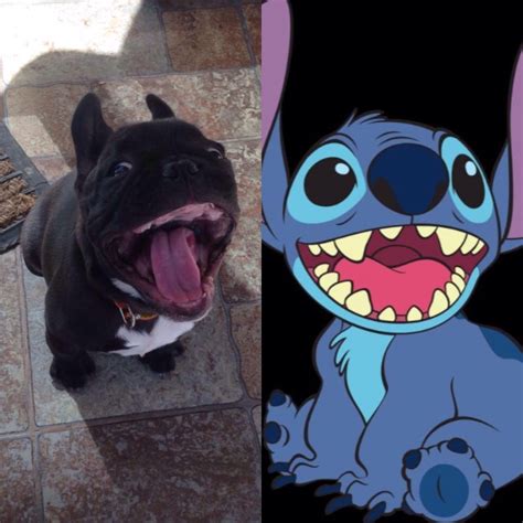 Гнилой рот Скабеевой: Stitch is real!