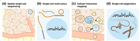 Application Of Single Cell Technology In Cancer Research - CancerWalls