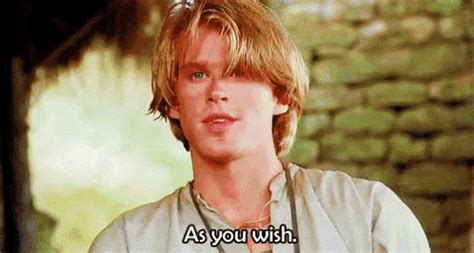 As You Wish GIF - AsYouWish PrincessBride Westley - Discover & Share GIFs