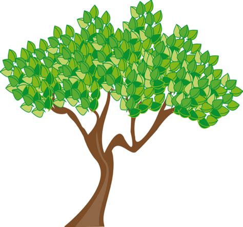 Tree Clip art - Tree Transparent Clipart Picture png download - 2234*1965 - Free Transparent ...
