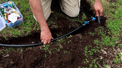 How To Make Your Own Drip Irrigation System