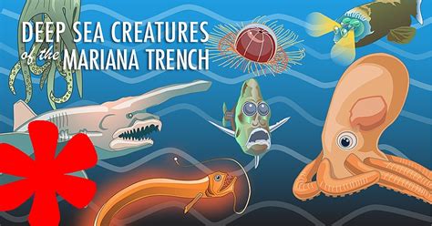 Infographic - Bizarre Creatures in The Marianas Trench | MaritimeCyprus