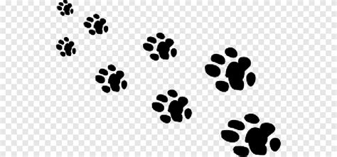 Giant panda Bear Paw Animal Footprint, bear, animals, text png | PNGEgg