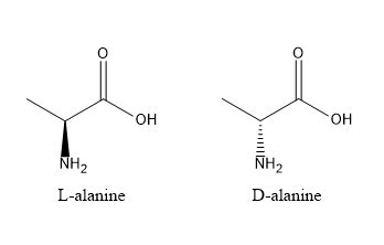 L-alanine and D-alanine \\ A. are present in virtually all protein B. are superimposable isomers ...