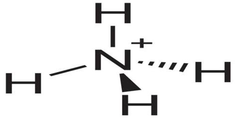 Ammonium - Assignment Point