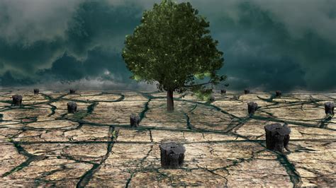 Climate Protection Free Stock Photo - Public Domain Pictures