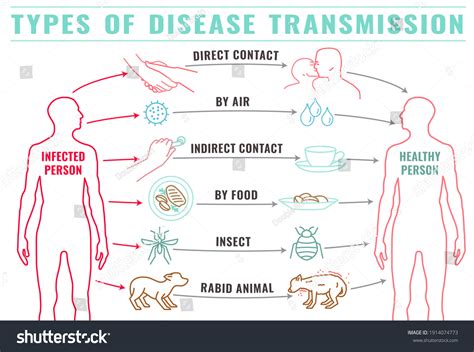 Disease Transmission Royalty-Free Images, Stock Photos & Pictures | Shutterstock