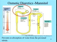 Diuretics, Osmotic; Osmotic Diuretics