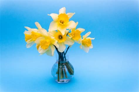 Premium Photo | Bouquet of daffodils