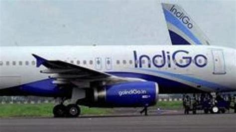 IndiGo plans budget business class seats to lure Europe-Asia fliers - business news - Hindustan ...