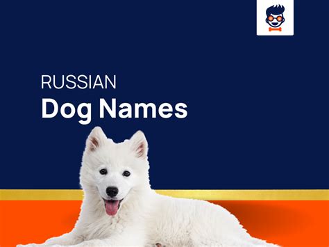 1520+ Russian Dog Names for Your Noble Pooch! (+Generator)