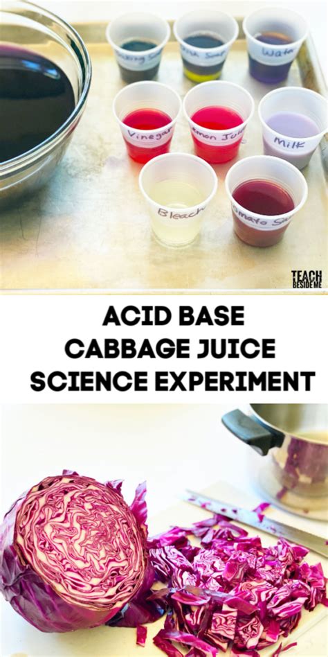 Acid Base Cabbage Juice Science Experiment - Teach Beside Me