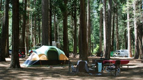 Manitobans book nearly 14K campsites on opening day of reservations - Manitoba - CBC News