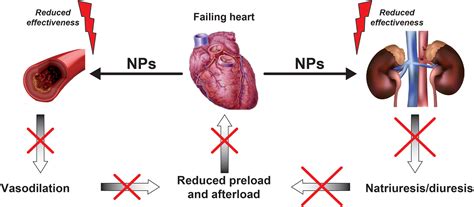 Chronic heart failure as a state of reduced effectiveness of the ...