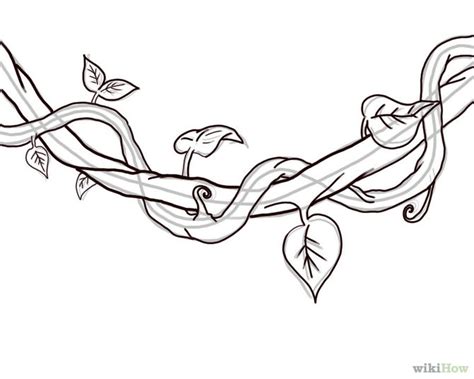 Ivy Vines Drawing at GetDrawings | Free download