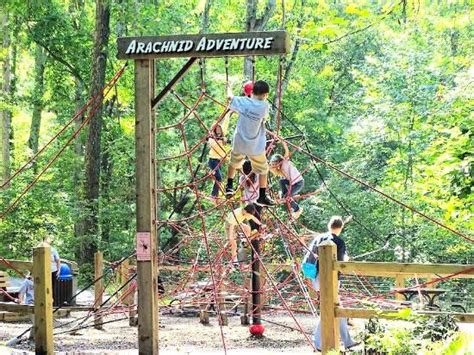 Western North Carolina Nature Center (Asheville) - 2020 All You Need to Know BEFORE You Go (with ...