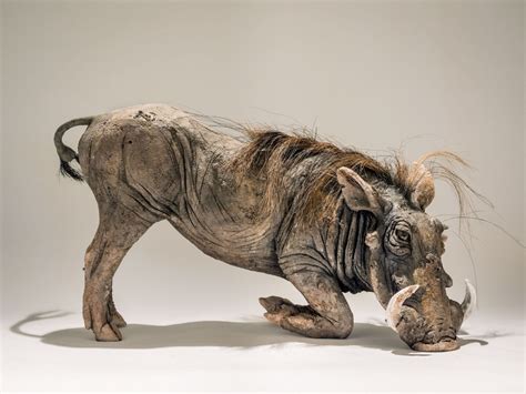 warthog-sculpture - Nick Mackman Animal Sculpture