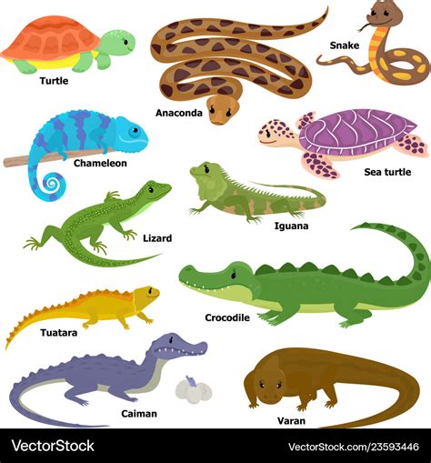 Reptile animal reptilian character lizard Vector Image