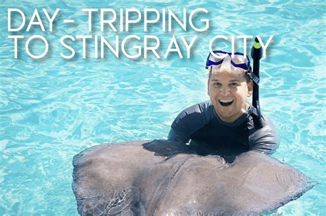 Planning your day trip to Stingray City starts now!