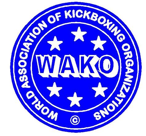 WAKO Tournament coming to UFC Fan Expo