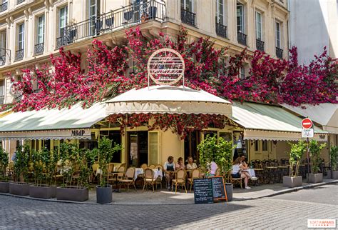 Les plus beaux cafés fleuris à Paris - Sortiraparis.com