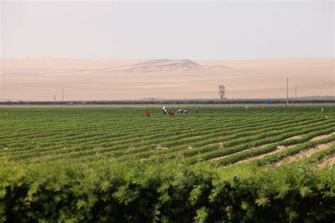 Turning Desert into Farmland: The How & Why