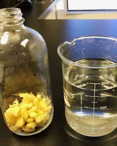 2 Ways to Make Ginger Extract for Brewing - American Homebrewers ...