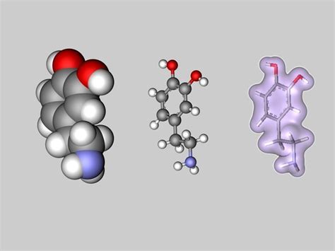 Dopamine molecule 3D model | CGTrader