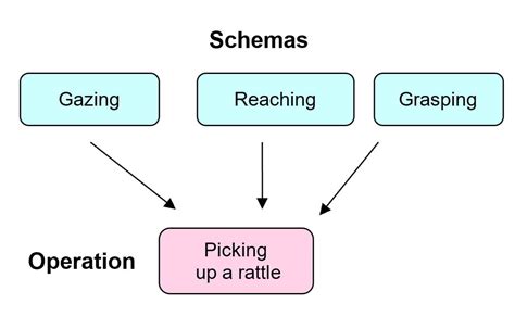 Schema Theory Piaget