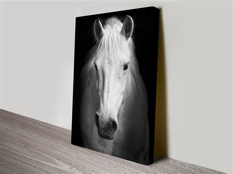 White Horse Black and White Canvas art Print Perth