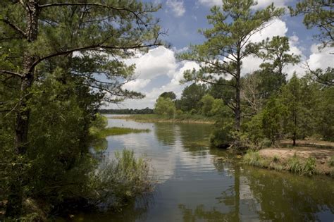 7 Reasons to Visit Bastrop, a Small Town with Big Texas Hospitality - R We There Yet Mom?