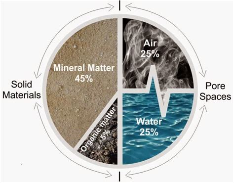 Soils Academy: Composition Of The Soil