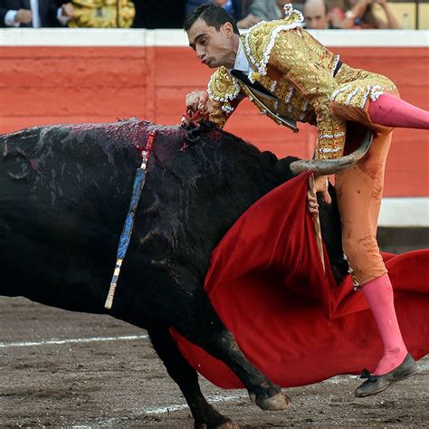 Bull Fighting Injuries