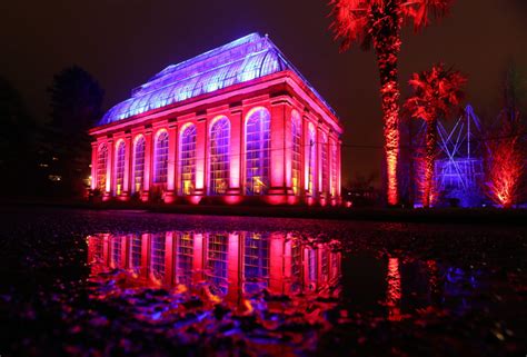 In pictures: Festive light show spectacular at Edinburgh's Royal Botanic Garden - Sunday Post