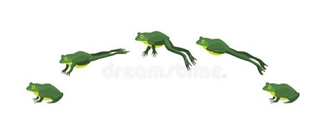 Frog Jumping by Sequence Cartoon Vector Illustration Stock Vector - Illustration of character ...