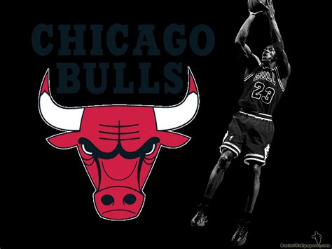 Amazing | Michael jordan chicago bulls, Jordan bulls, Chicago bulls